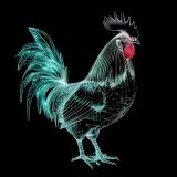 Ayam Hitam