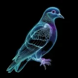 Burung Putih