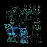 Fauna