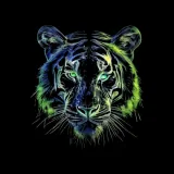 Harimau Putih