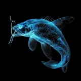 Ikan Gabus