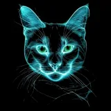 Kucing Putih