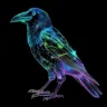 Burung Hitam