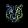 Harimau Putih