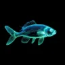 Ikan Putih