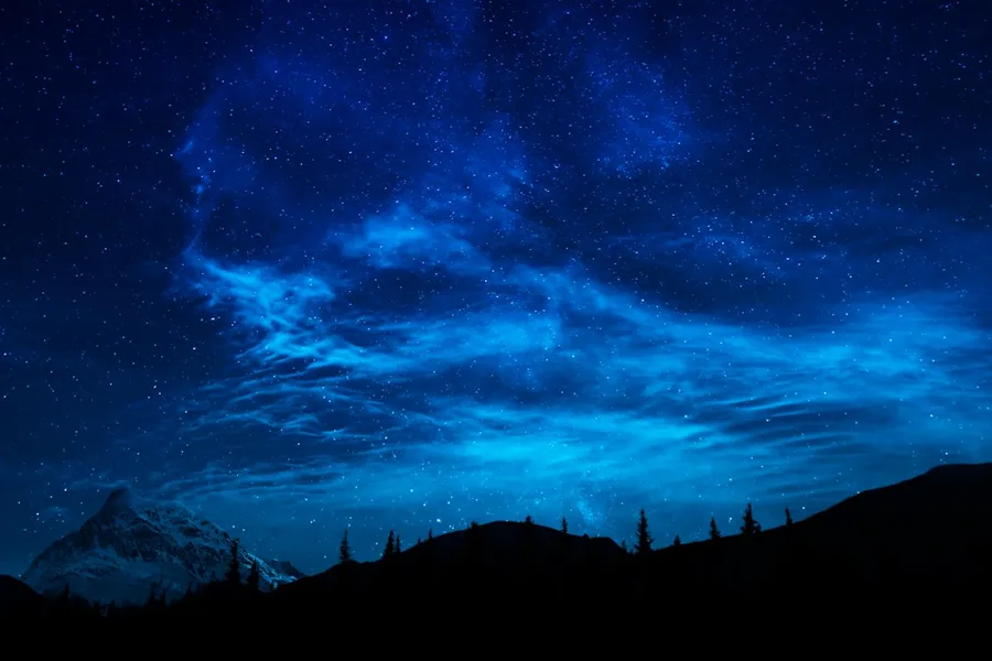 Ilustrasi mimpi bintang — silhouette of trees under blue sky