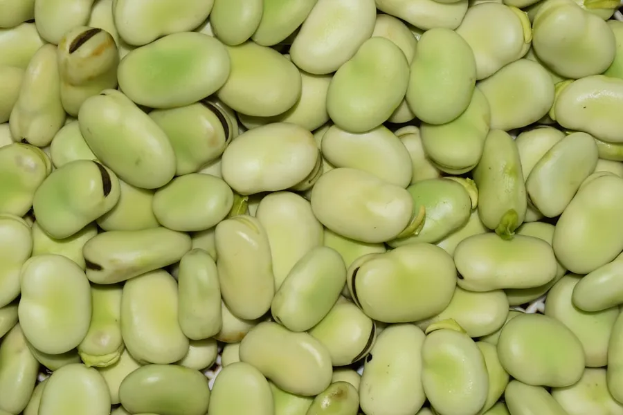 Ilustrasi mimpi jengkol — green round fruit in close up photography