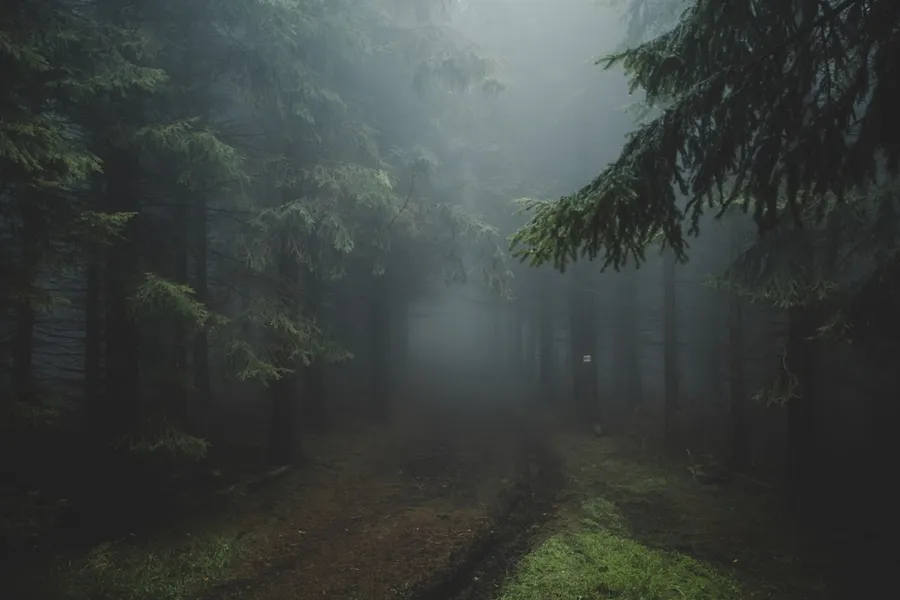 Ilustrasi mimpi kuntilanak — trees and pathway