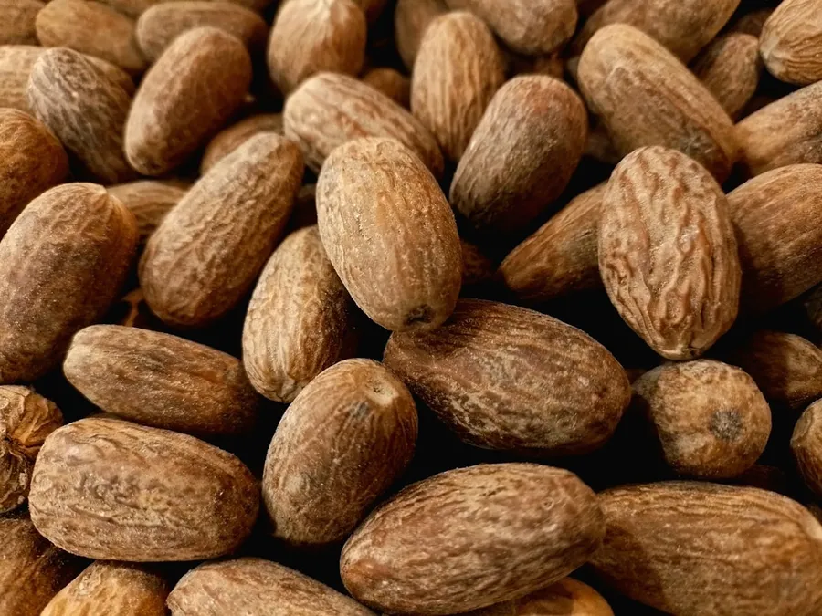 Ilustrasi mimpi pala — a pile of almonds sitting next to each other