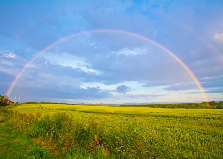 Ilustrasi mimpi pelangi — green grass field under white clouds and rainbow