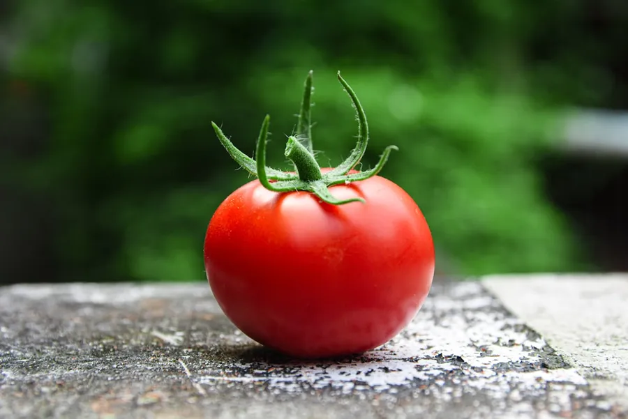 Ilustrasi mimpi tomat — red tomato on gray concrete surface